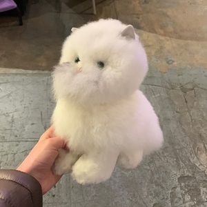 Hand made kitty cat with spots